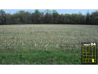 Property photo 24 - Land Auction 1035 Acres In 16 tracts - Farm Land - Sullivan Co. Indiana & Clark Co., Illinois